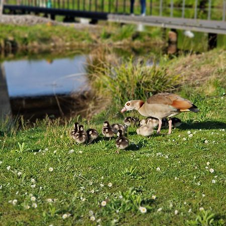 Hotel Am Kurpark Bad Wimpfen Eksteriør billede